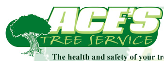 Ace's Tree Service Inc.